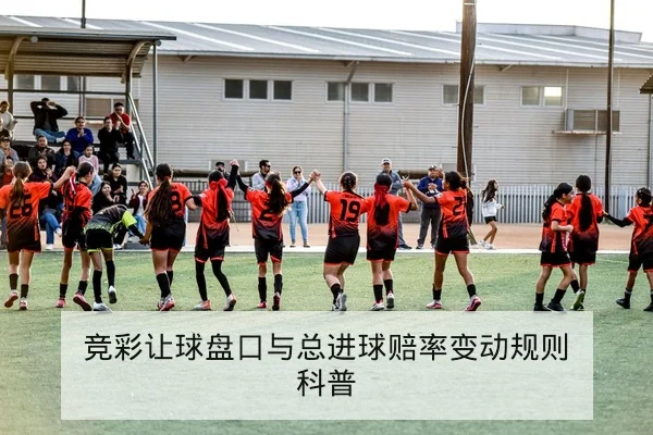 英超主客场进球分布与净胜球数据说明
